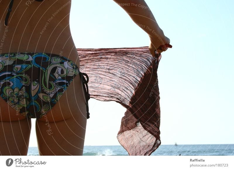 Good prospects Colour photo Exterior shot Day Sunlight Sunbeam Back-light Central perspective Rear view Vacation & Travel Far-off places Freedom Summer vacation