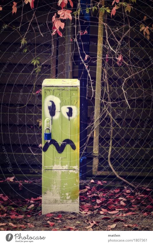 autumn man Deserted To fall Blue Brown Green Red Transformer Garden fence Vine Sadness Castle Leaf Graffiti Colour photo Subdued colour Exterior shot Pattern