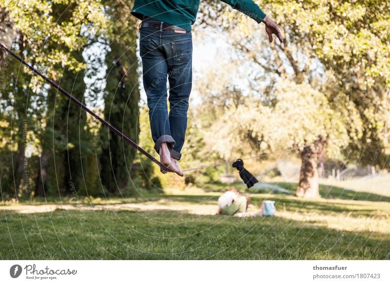 Feet, rope, slacking Balance Slacklining Wirewalker Man Legs 18 - 30 years 1 Person Beautiful weather Park Tree Avignon Town Jeans Barefoot Belt Skipping Sports