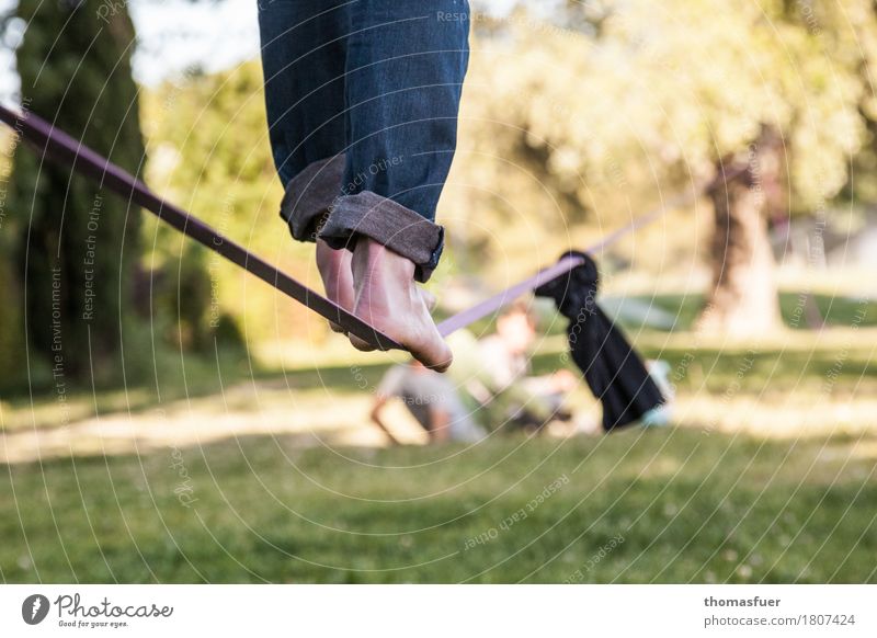 rope, feet, slacking Balance Slacklining Wirewalker Man Feet Legs 18 - 30 years 1 Person Beautiful weather Park Tree Avignon Town Jeans Barefoot Belt Skipping