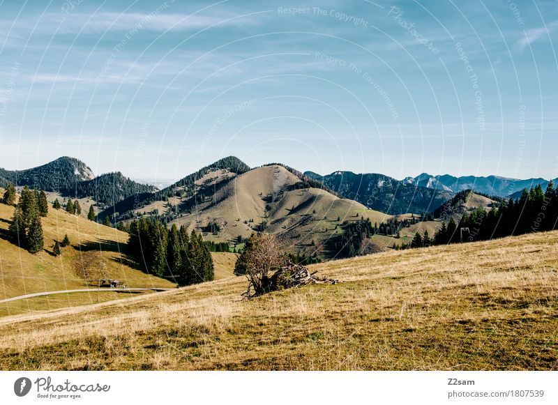 sudel field Hiking Nature Landscape Sky Summer Beautiful weather Meadow Alps Mountain Infinity Sustainability Natural Relaxation Horizon Idyll Perspective