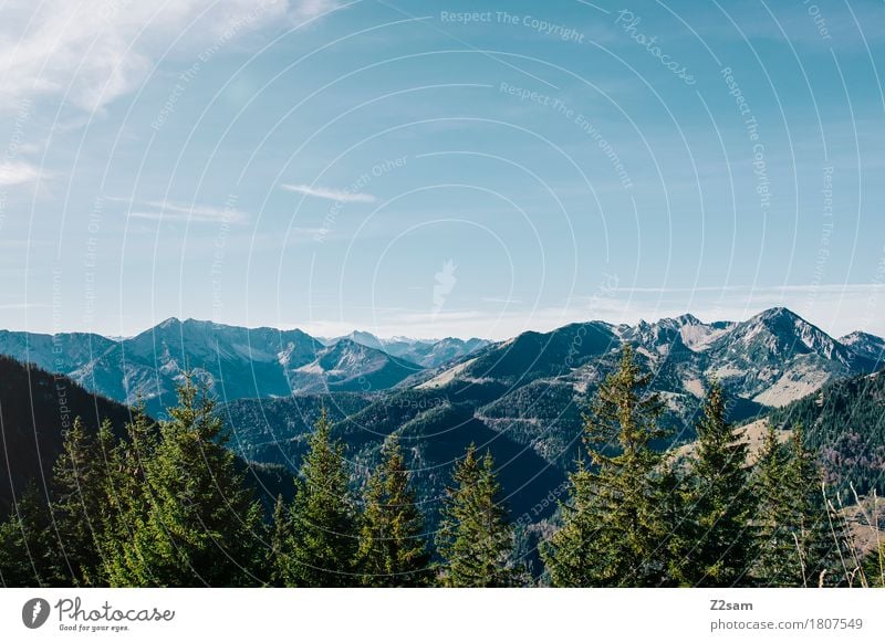 postcard Hiking Nature Landscape Sky Summer Beautiful weather Tree Forest Alps Mountain Infinity Sustainability Natural Blue Green Colour Freedom