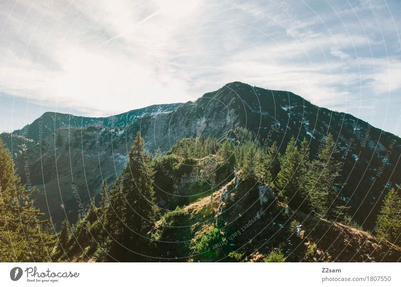 summit view Hiking Environment Nature Landscape Sky Summer Beautiful weather Forest Alps Mountain Fresh Gigantic Natural Calm Relaxation Colour Freedom Idyll