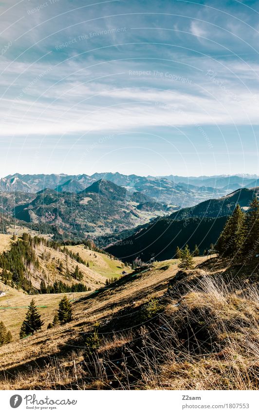 Oh you beautiful Bavarian country Hiking Environment Nature Landscape Sky Clouds Summer Beautiful weather Alps Mountain Far-off places Fresh Sustainability