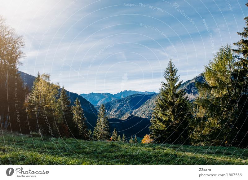 Bavarian cell Hiking Nature Landscape Sky Summer Beautiful weather Tree Meadow Alps Mountain Sustainability Natural Blue Green Relaxation Colour Idyll