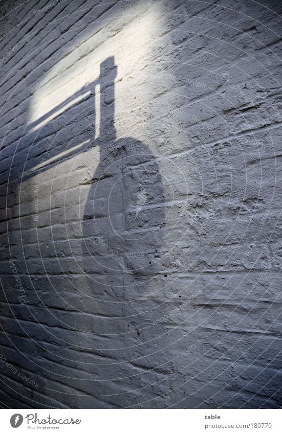 trailblazing Colour photo Subdued colour Deserted Shadow Reflection Wall (barrier) Wall (building) Transport Traffic infrastructure Road traffic Motoring