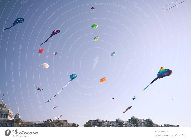 |Kite|#2| Colour photo Exterior shot Deserted Morning Contrast Silhouette Deep depth of field Worm's-eye view Air Sky Sun kite Looking Free Curiosity Blue Joy