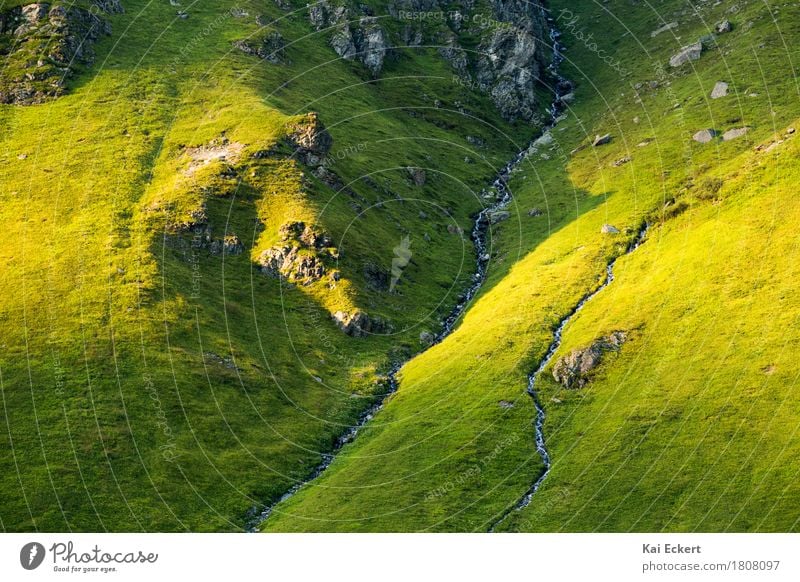 Mountain stream Nature Landscape Water Sunrise Sunset Summer Grass Rock Alps Brook Discover Relaxation Vacation & Travel Hiking Esthetic Clean Wild Yellow Green