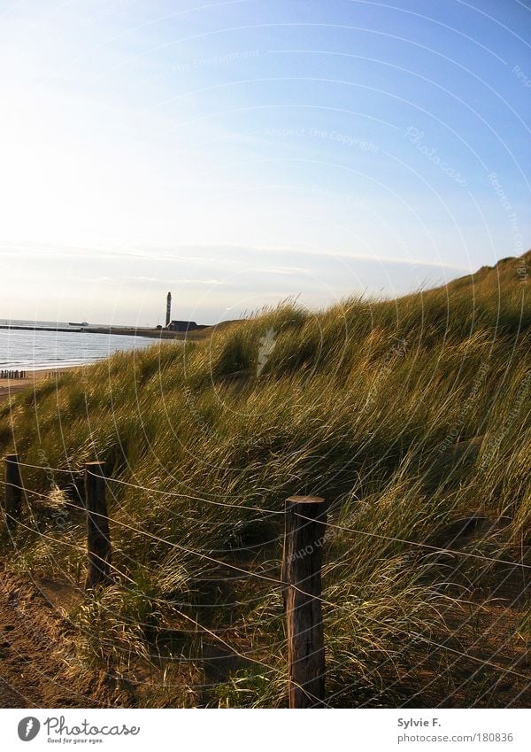 Lighthouse behind the hill Colour photo Exterior shot Deserted Copy Space top Day Sunlight Central perspective Environment Nature Landscape Plant Air Water Sky