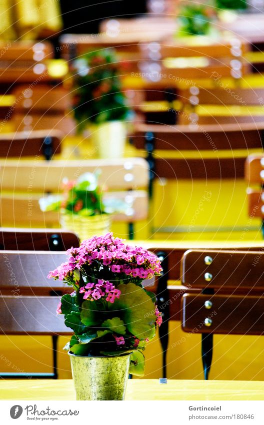 seating landscape Colour photo Multicoloured Exterior shot Deserted Day Shadow Reflection Shallow depth of field Nutrition Lunch To have a coffee Dinner Summer