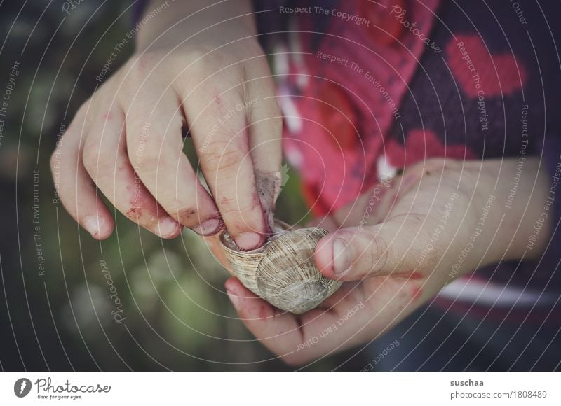 children's hands II Child Hand Fingers Dirty adventurous Discover Touch look Experience To hold on Snail Snail shell at home Inhabited Infancy Parenting