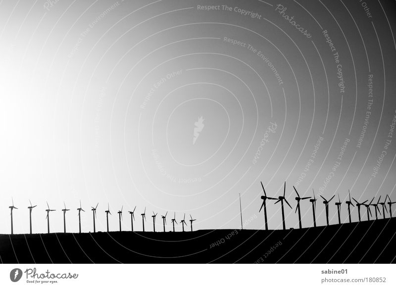 wind farm Black & white photo Exterior shot Experimental Deserted Copy Space left Copy Space bottom Copy Space middle Evening Twilight Light Shadow Contrast