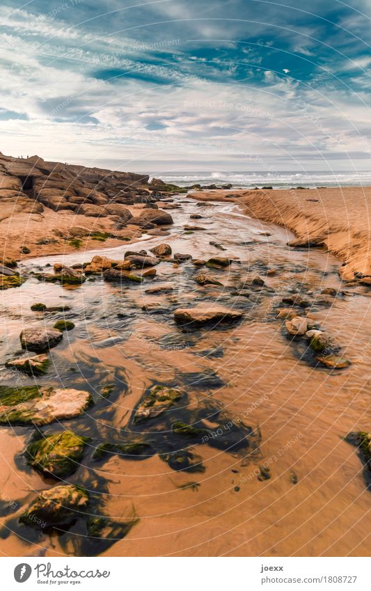 new beginning Beach Ocean Landscape Sky Clouds Summer Beautiful weather Coast Brook Maritime Warmth Blue Brown White Calm Wanderlust Horizon Idyll Stone Runlet