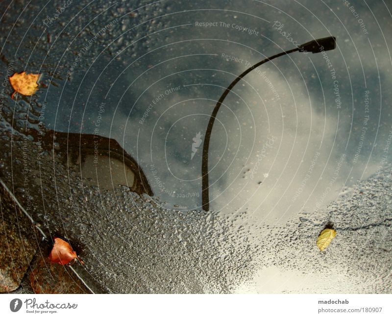 ... and lonely awake Colour photo Exterior shot Underwater photo Experimental Abstract Pattern Structures and shapes Evening Twilight Contrast Silhouette