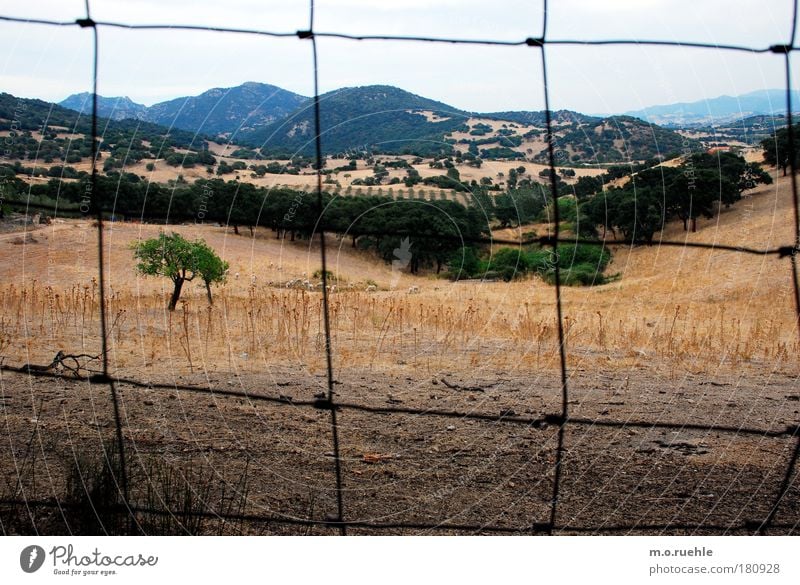 prisoner Colour photo Exterior shot Structures and shapes Deserted Twilight Light Environment Nature Landscape Plant Sky Summer Beautiful weather Tree Grass