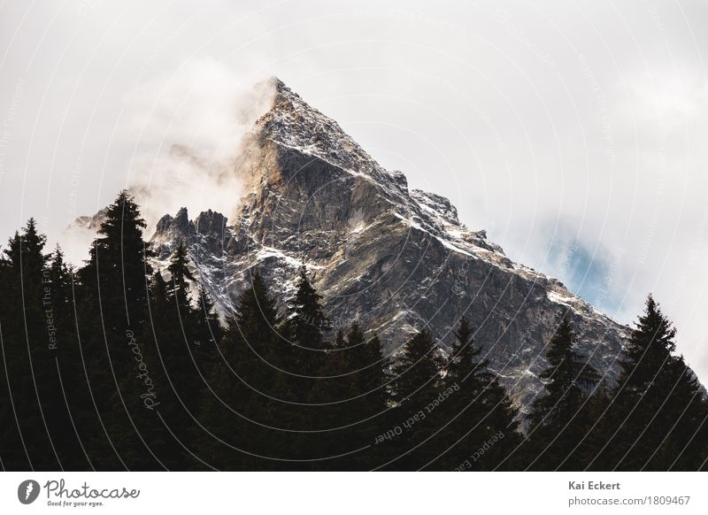 Summit in the morning light Landscape Clouds Sunrise Sunset Fog Snow Tree Alps Mountain Peak Snowcapped peak Large Cold Bravery Willpower Adventure Discover