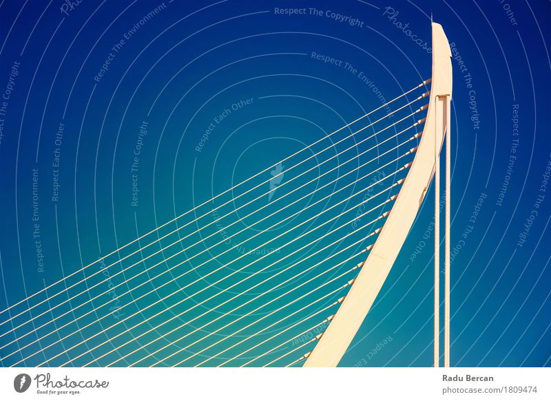 White Abstract Bridge Structure On Sky Style Design Tourism Freedom Architecture Town Downtown Manmade structures Building Metal Steel Exceptional Simple Tall