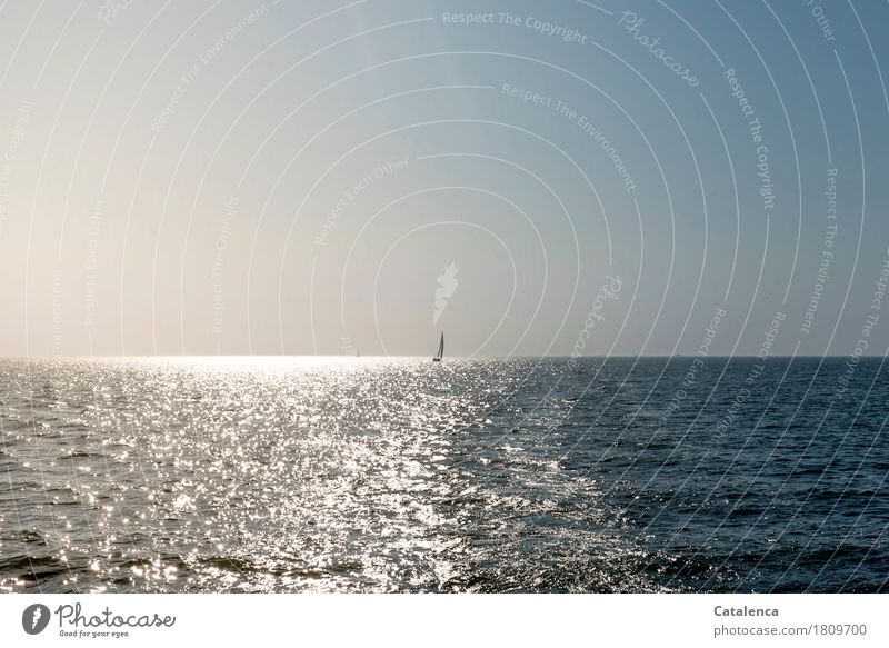 billich | make a wish. Sailboat on the horizon Leisure and hobbies Aquatics Sailing Landscape Air Water Cloudless sky Horizon Summer North Sea Ocean Observe