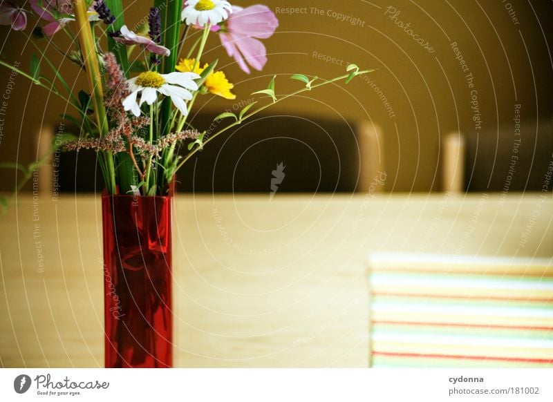 A piece of nature Colour photo Interior shot Close-up Detail Deserted Copy Space right Copy Space bottom Day Light Shadow Contrast Deep depth of field Long shot