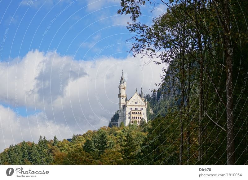 Fabulous Vacation & Travel Tourism Sightseeing Mountain Landscape Clouds Autumn Beautiful weather Tree Forest Alps Castle Hohenschwangau Bavaria Allgäu Deserted