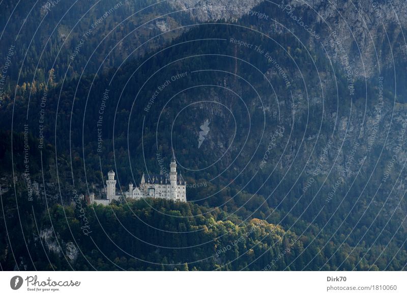 Neuschwanstein in autumn - that's it. Vacation & Travel Tourism Trip Sightseeing Mountain Autumn Tree Forest Rock Alps Mountain forest Slope Bavaria Allgäu