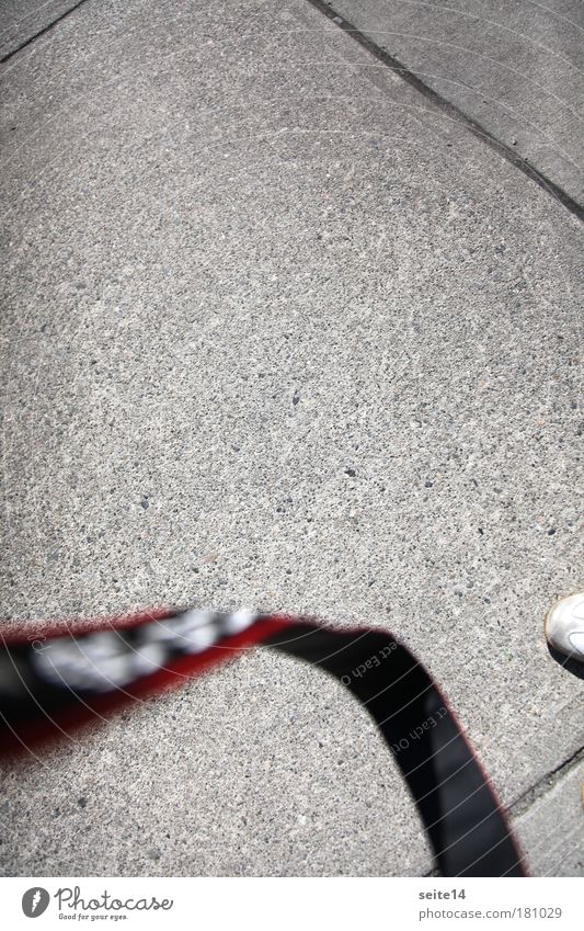 Vancouver. Camera. Camera strap. Photographer. Shoe tip. Shoe. Concrete Line Gray String Belt Paving tiles Seam Concrete slab Take a photo City life