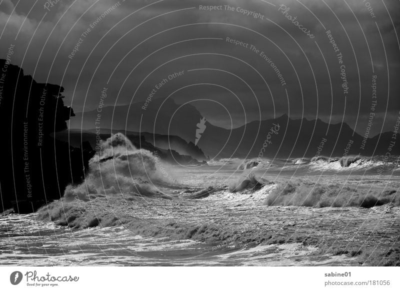 surf Black & white photo Exterior shot Deserted Copy Space top Evening Twilight Light Shadow Contrast Silhouette Reflection Light (Natural Phenomenon) Sunrise