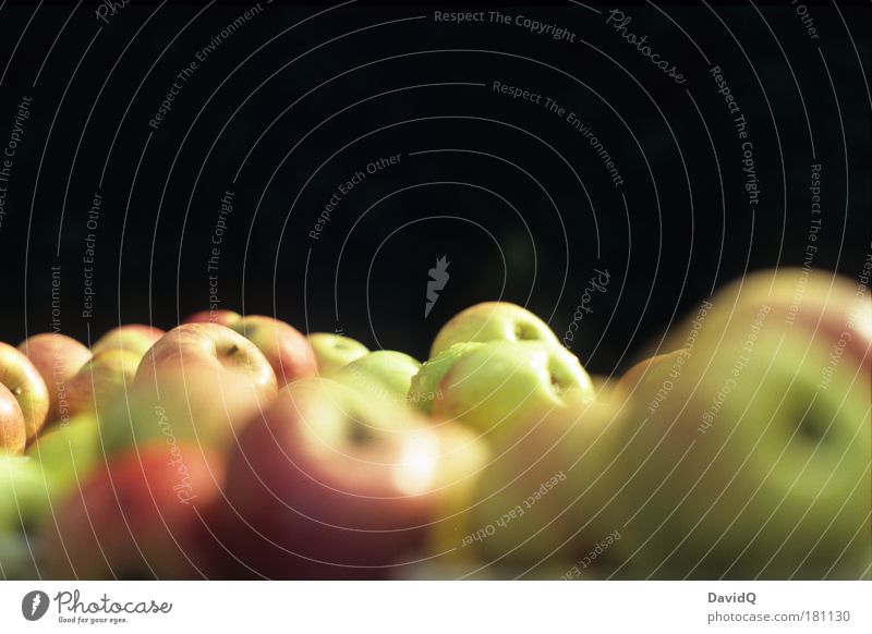 apples Colour photo Exterior shot Copy Space top Neutral Background Day Shallow depth of field Food Fruit Apple Feeding To enjoy Healthy Delicious Wet Sour