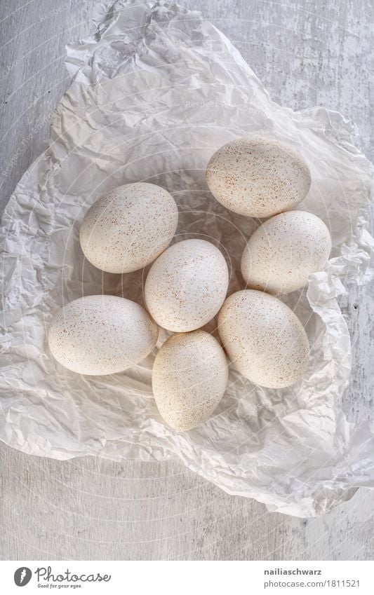 duck eggs Food Egg goose egg duck's egg Nutrition Breakfast Organic produce Vegetarian diet Diet Paper Packaging Natural Beautiful Gray White To enjoy