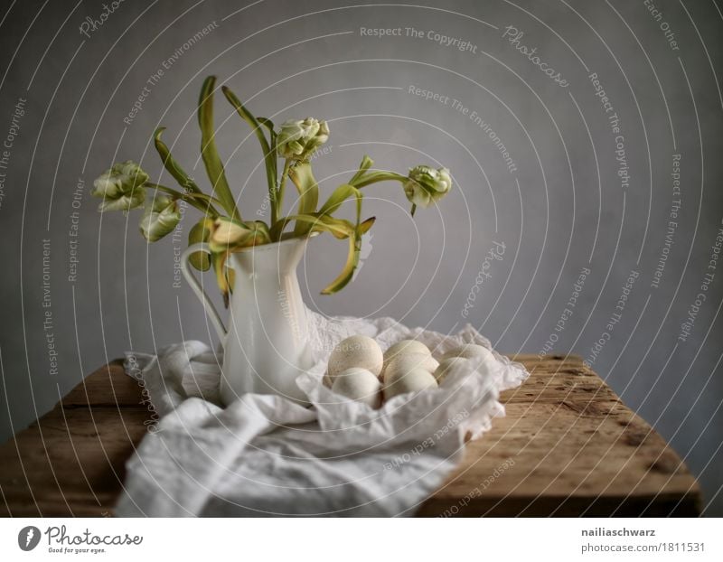 Still Life with Tulips Egg Nutrition Plant Packaging Watering can Bouquet Faded Dark Natural Retro Yellow Gray Purity Creativity eggs Vase Jug Rustic