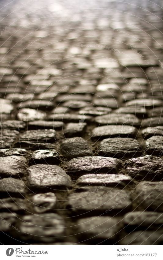 cobblestones Art Museum Old town Deserted Places Stone Sand Line Dark Sharp-edged Glittering Historic Original Round Under Gray Design Uniqueness Nostalgia