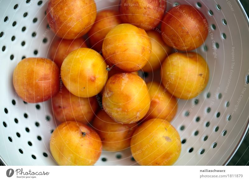 Still life with mirabelle plums Food Fruit Yellow plum Pomacious fruits Organic produce Vegetarian diet Diet Crockery Bowl Metal Fragrance Fresh Healthy