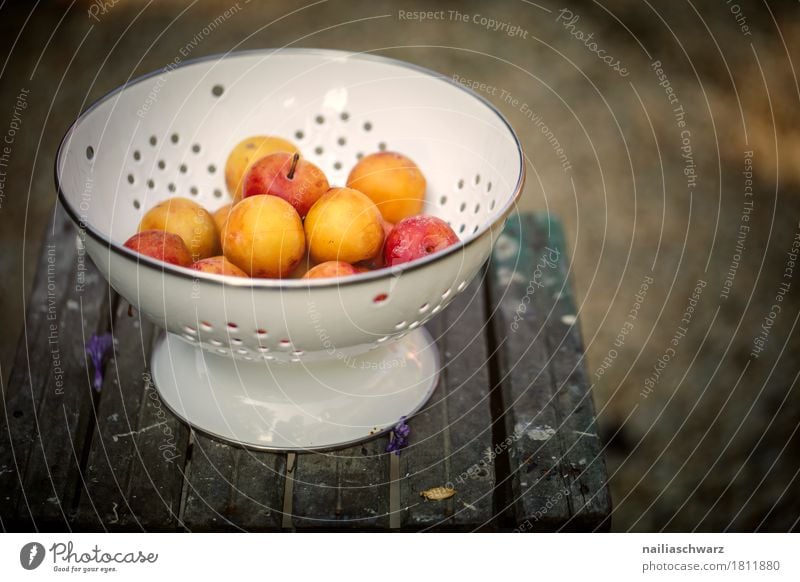 mirabelle plums Food Fruit yellow plums Plum Yellow plum Organic produce Vegetarian diet Diet Crockery Bowl Wood Metal Wooden table Fragrance Delicious Retro