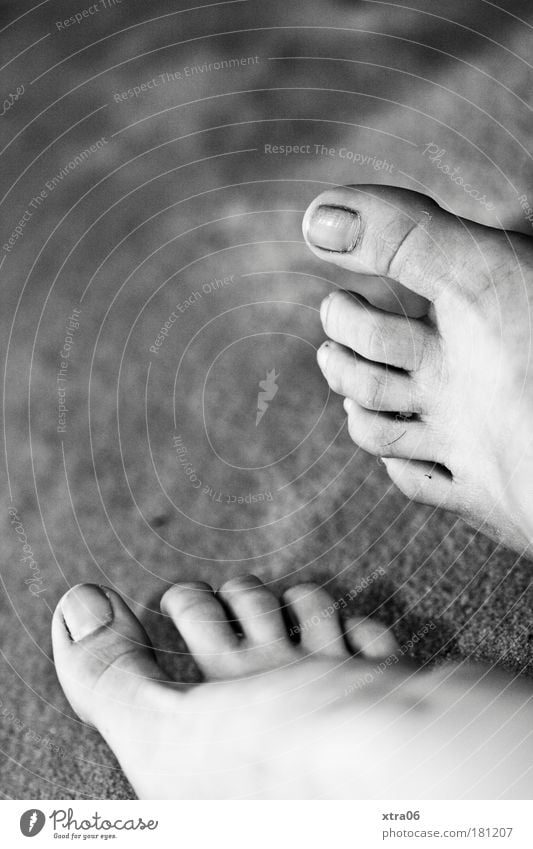 feet of character Black & white photo Interior shot Close-up Copy Space left Copy Space top Artificial light Skin Feet 1 Human being Authentic Toes Toenail