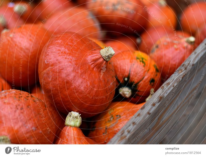 Pumpkin Pumpkin Pumpkin Pumpkin Food Vegetable Nutrition Organic produce Vegetarian diet Fasting Joy Party Feasts & Celebrations Hallowe'en Shopping Orange Many