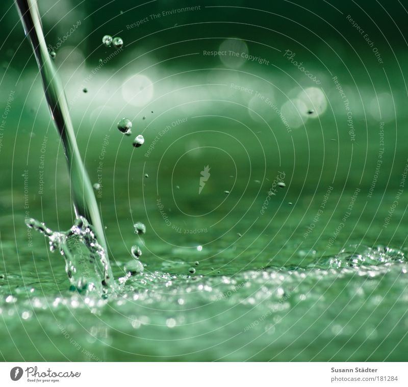 soaking wet with a flat tyre Colour photo Exterior shot Detail Deserted Copy Space right Copy Space top Copy Space bottom Light Contrast Water Drops of water