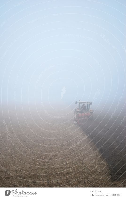 Local plaice in mist sauce Subdued colour Exterior shot Copy Space top Copy Space bottom Neutral Background Dawn Wide angle Work and employment Earth Autumn Fog