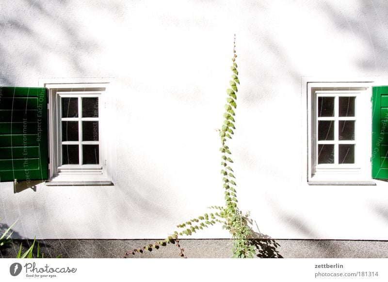 Two windows 2 White Garden House (Residential Structure) Gardenhouse Garden plot Ivy Tendril Window Curtain Window arch Shutter Open Ventilate Ventilation Air