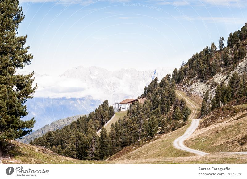 Road to the Top Environment Nature Landscape Plant Animal Sky Clouds Sunlight Weather Mountain Hiking 2016 sickline Austria Ötz Valley Colour photo