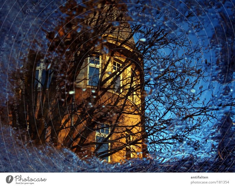 Franconian Square Nature Water Drops of water Sky Sunlight Autumn Winter Rain Tree Bushes Puddle Garden Park Duesseldorf Germany House (Residential Structure)