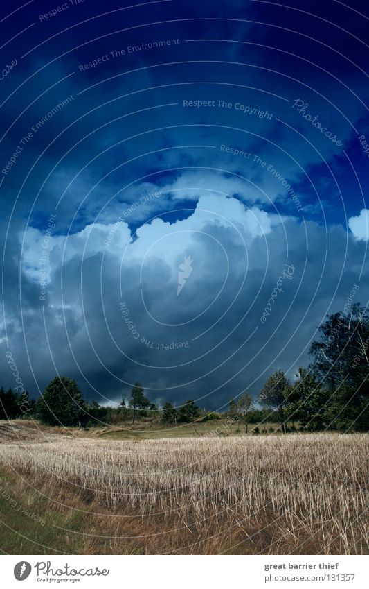 autumn messengers Colour photo Exterior shot Deserted Day Light Contrast Environment Landscape Air Clouds Storm clouds Wind Gale Field Breathe To enjoy Infinity