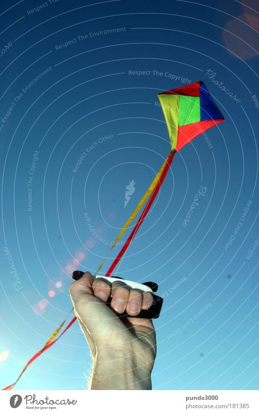 hold on tight 2 Colour photo Exterior shot Copy Space left Neutral Background Day Sunlight Life Hand Fingers Air Sky Cloudless sky Autumn Weather