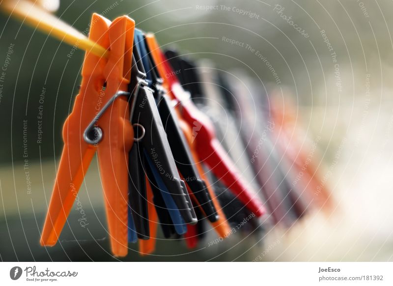 collective hanging 02 Colour photo Close-up Detail Deserted Copy Space right Blur Shallow depth of field Garden Clothing Simple Cuddly Passion Effort Duty