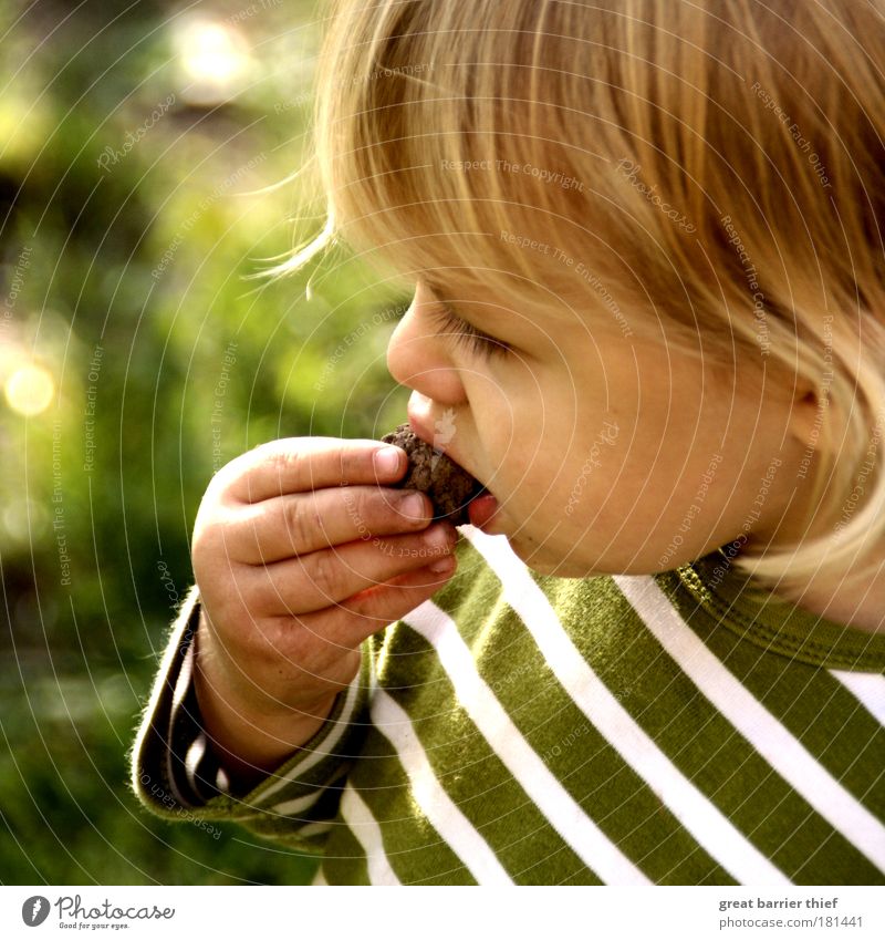 chaffinch Colour photo Exterior shot Close-up Day Contrast Portrait photograph Upper body Profile Looking away Masculine Child Toddler Head 1 Human being