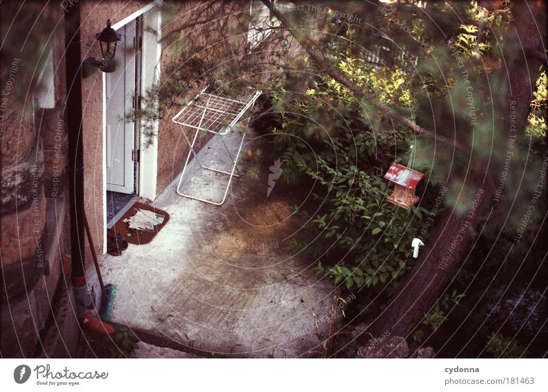 back door Colour photo Exterior shot Deserted Copy Space bottom Day Light Shadow Contrast Shallow depth of field Bird's-eye view Living or residing Tree Bushes