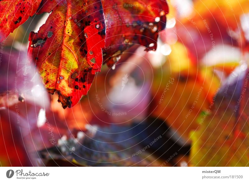 Wine tasting. Colour photo Multicoloured Exterior shot Close-up Detail Macro (Extreme close-up) Pattern Structures and shapes Deserted Copy Space right