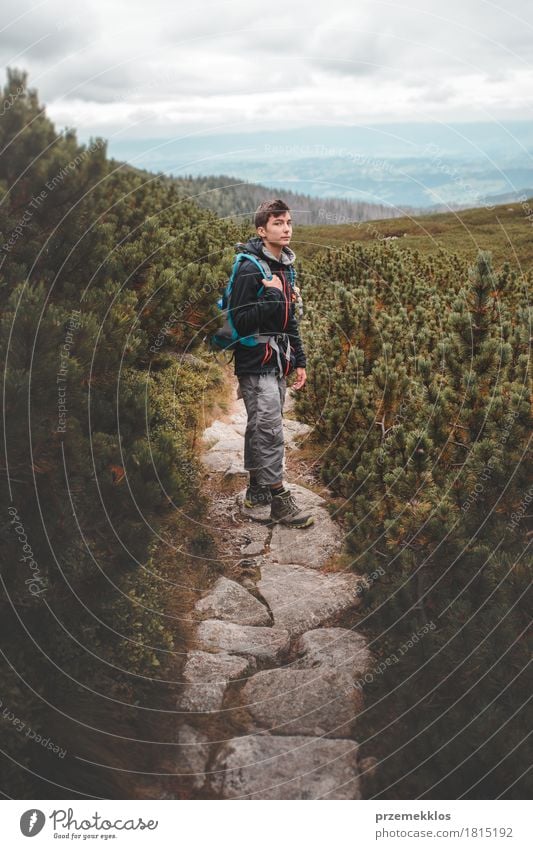 Boy standing among the dwarf pines on mountain trail Lifestyle Leisure and hobbies Vacation & Travel Adventure Freedom Summer Mountain Hiking Boy (child) 1