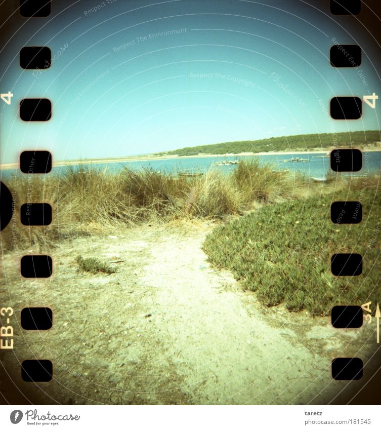 Straight for recreation Freedom Summer Summer vacation Beach Ocean Nature Landscape Water Sky Beautiful weather Grass Bay Beach dune Lanes & trails Blue Green