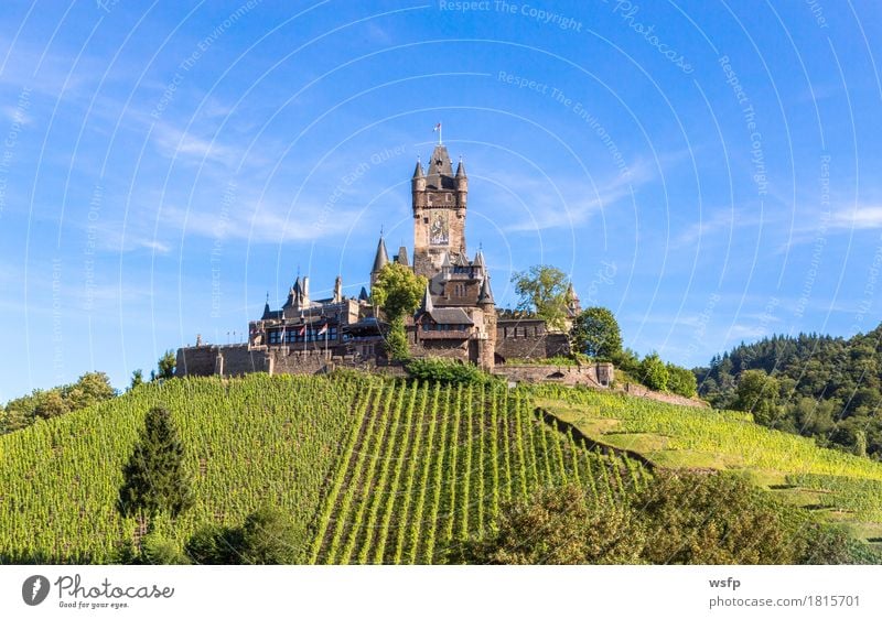 Reichsburg in Cochem on the Moselle Summer River Town Castle Idyll panorama reichsburg Moselle valley Bunch of grapes Vine Eifel Rhineland-Palatinate