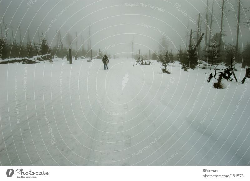 RUSSIAN WINTER Black & white photo Subdued colour Exterior shot Deserted Copy Space bottom Neutral Background Day Evening Twilight Silhouette Panorama (View)